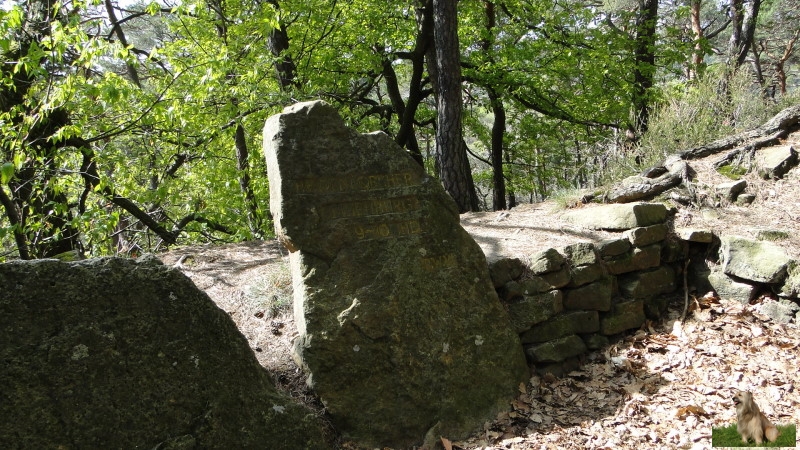 Ritterstein Nr. 260-4 Heidenlöcher - Fliehburg 9.-10.Jhd..JPG - Ritterstein Nr.260 Heidenlöcher - Fliehburg 9.-10.Jhd.